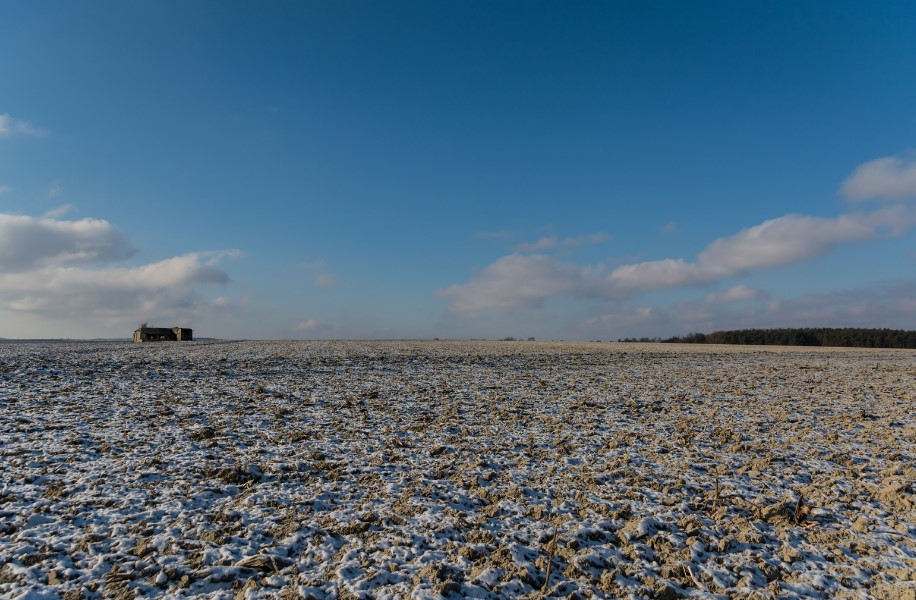 A field during the winter. This could be dangerous when metal detecting. 