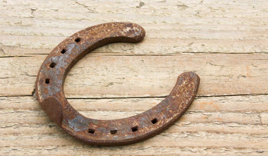 A horseshoe with 4 nail holes. The horseshoe is wide and large. 