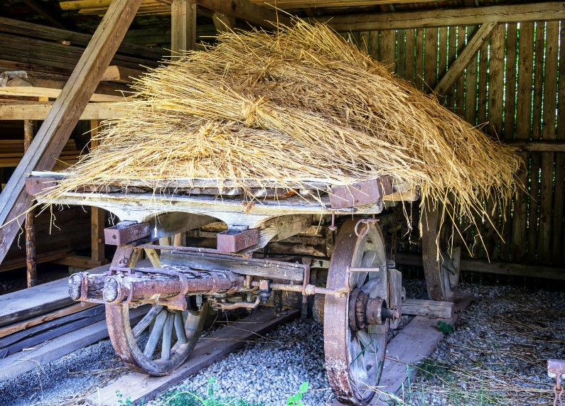 An old cart packed with hay. Sometimes there are coins located in it. 