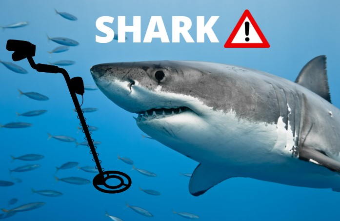 Does a metal detector attract sharks?