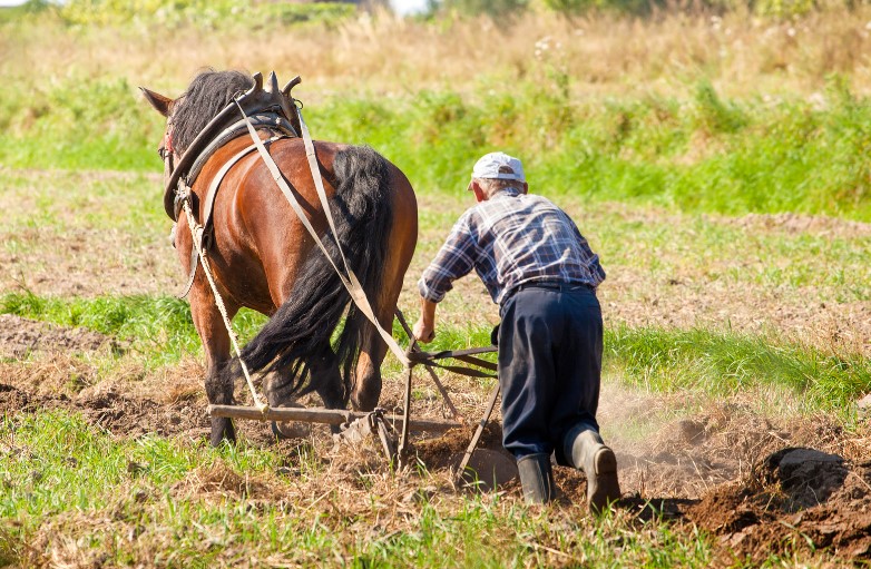A farmer that is working on the field with his horse.