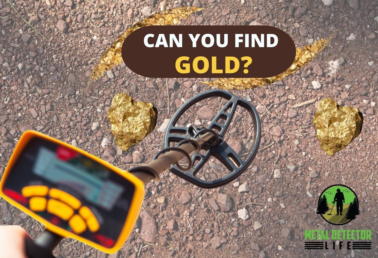 Can You Find Gold With A Metal Detector?