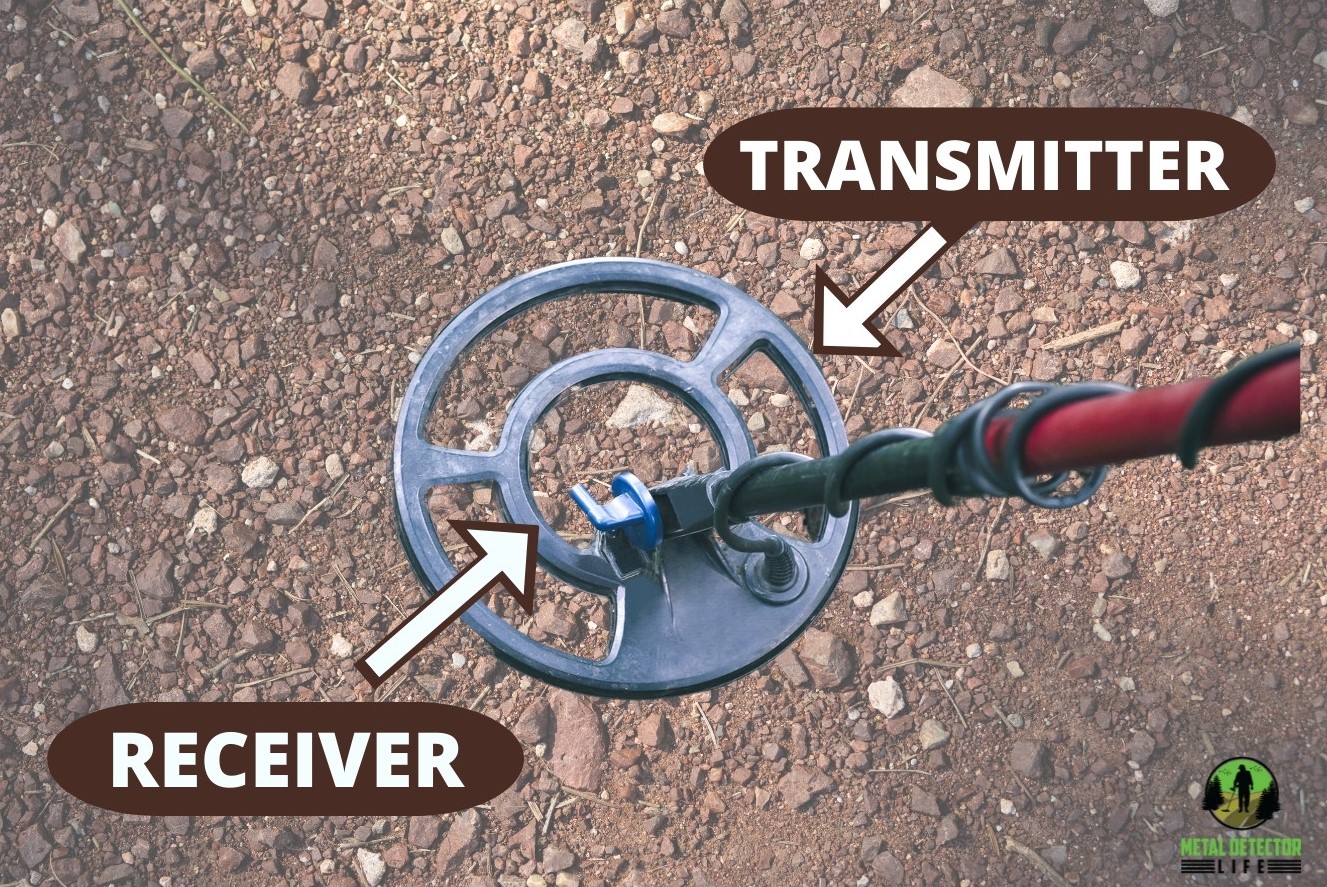 The outer ring is the transmitter and the inner ring is the receiver of the metal detector. 