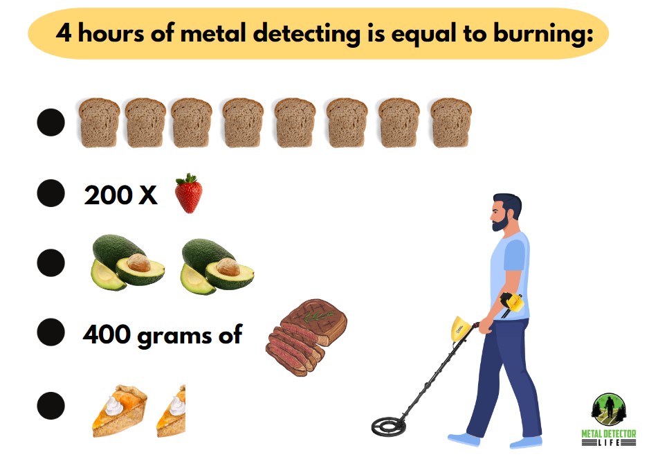 4 hours of metal detecting burns 800 calories. This is equal to 8 slices of bread, 200 strawberries, 2 avocado's and 400 grams of beef. 